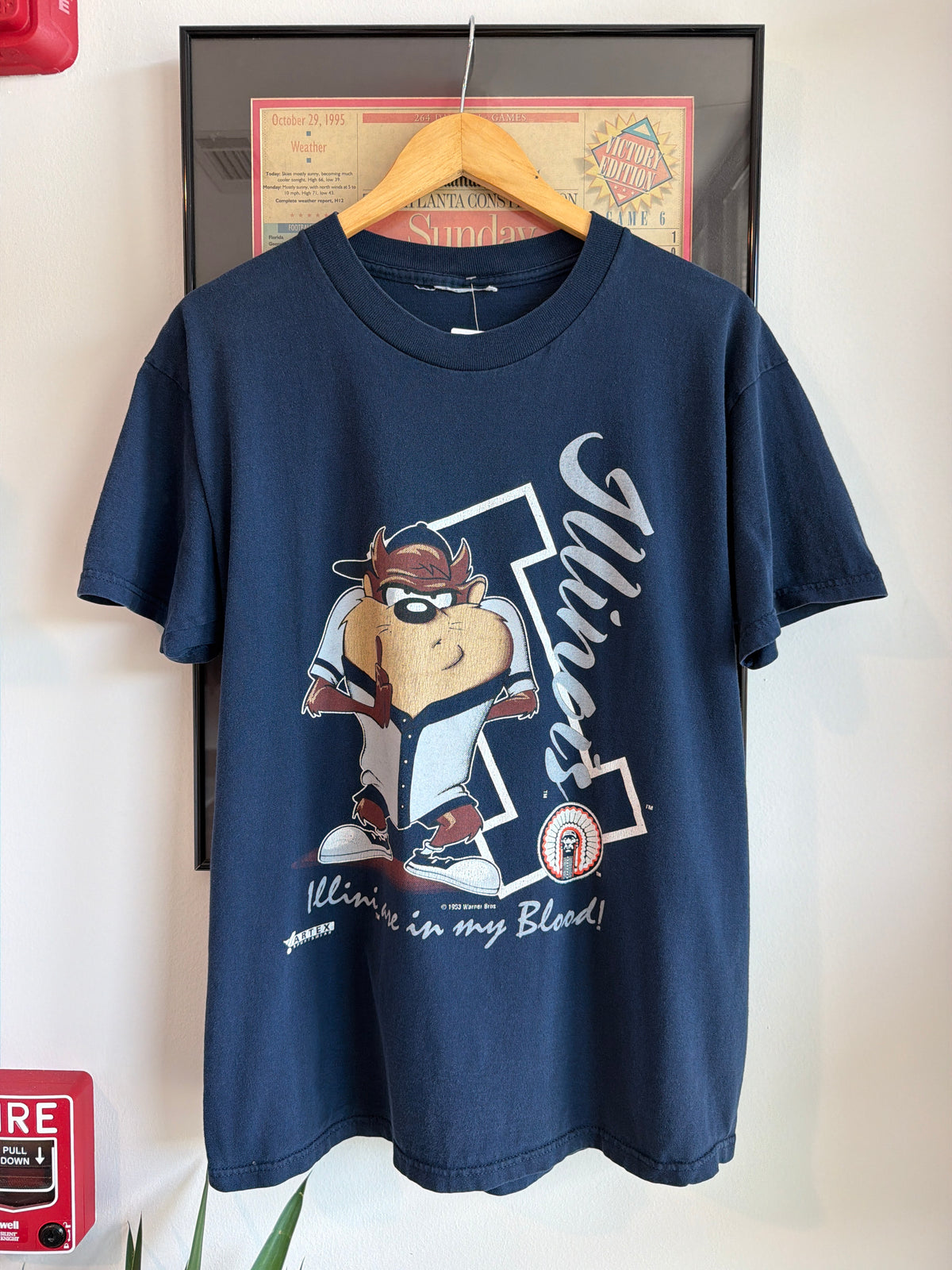 VINTAGE 1993 TAZ UNIVERSITY OF ILLINOIS SHIRT
