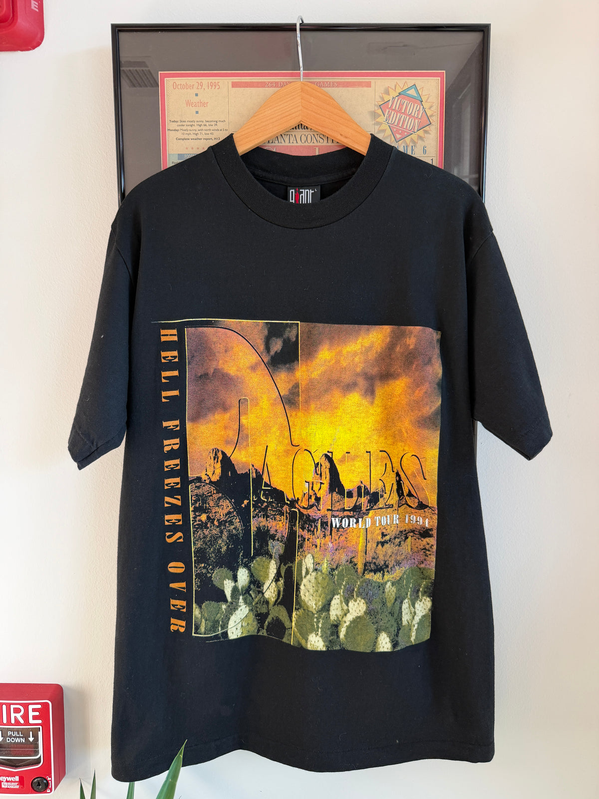 VINTAGE 1994 EAGLES HELL FREEZES OVER BAND SHIRT